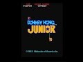 【アーケード】　ドンキーコング ジュニア／DONKEY KONG JUNIOR 　（任天堂）　【レ…