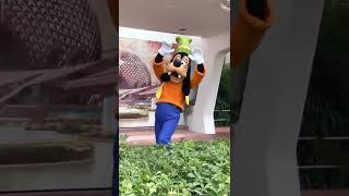Goofy can’t stop, won’t stop at Epcot - Walt Disney World #shorts