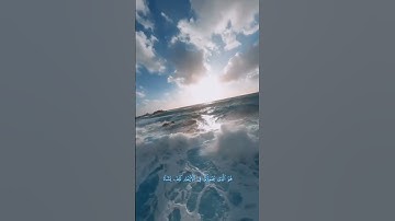 تلاوة هادئة تريح القلب وتزيل الهم | تلاوة خاشعة تلاوة القرآن #quran #اكسبلور #قرآن #لايك #deen