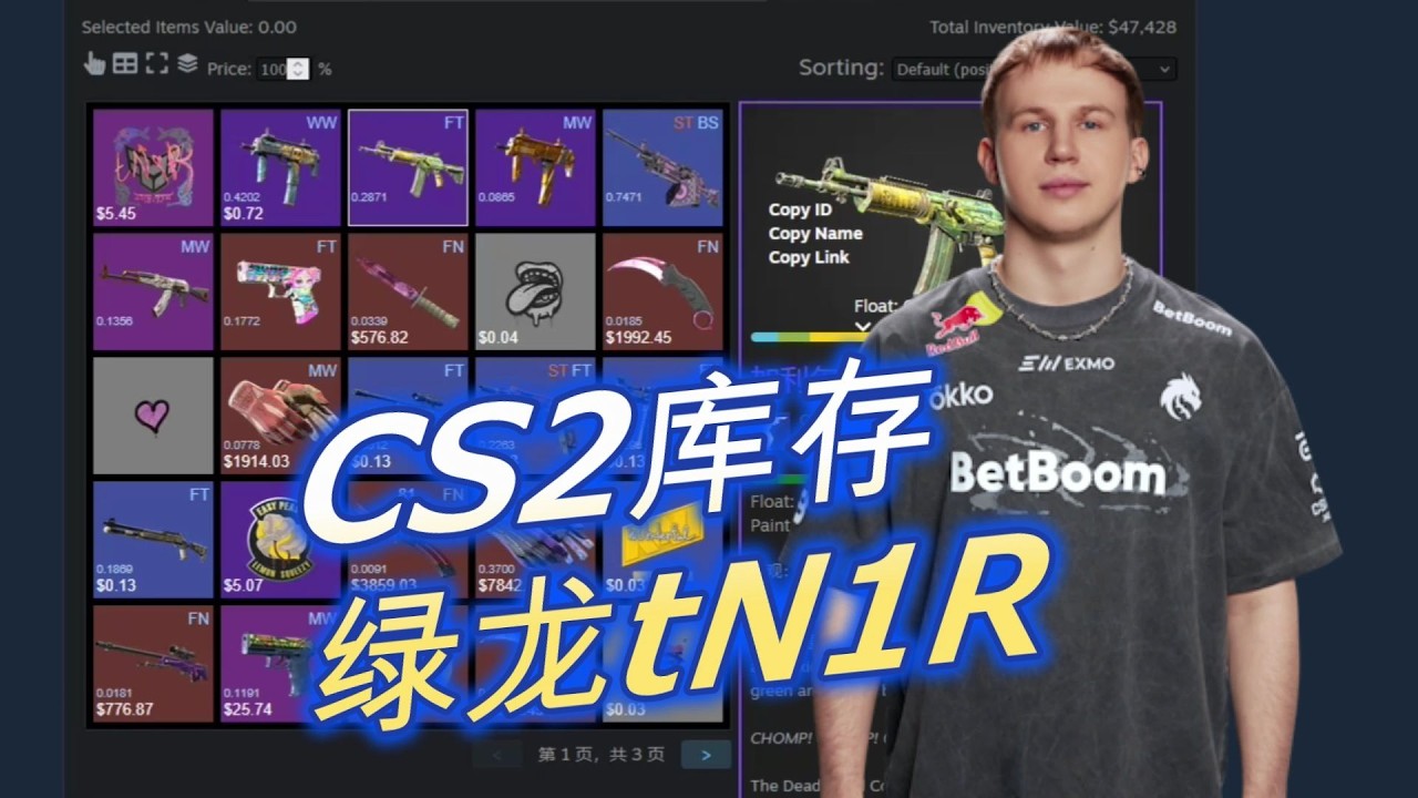 CS2库存展示,绿龙Spirit战队,tN1R的CS2皮肤库存展示介绍 - YouTube