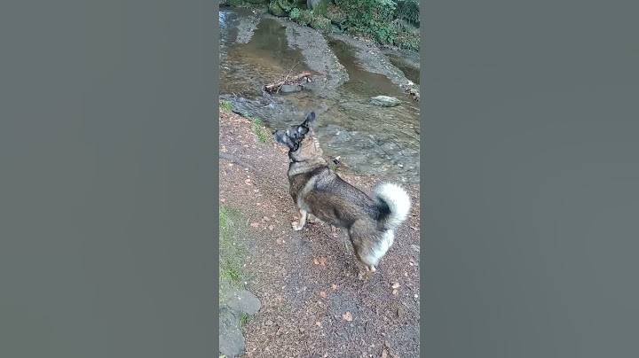 Braver Junge