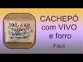 CACHEPÔ com VIVO e forro - fácil