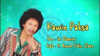 Kawin Paksa Ini Damini