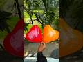 🤏🦶🎈❤️Challenge the staircase obstacle course and pop the colorful balloons.#shorts #viral