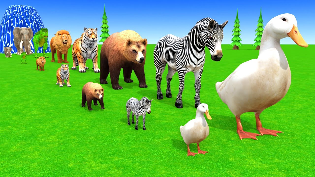 Long Slide Game With Cow Elephant Gorilla Hippopotamus Tiger 3d Animal Game Funny 3d Animals