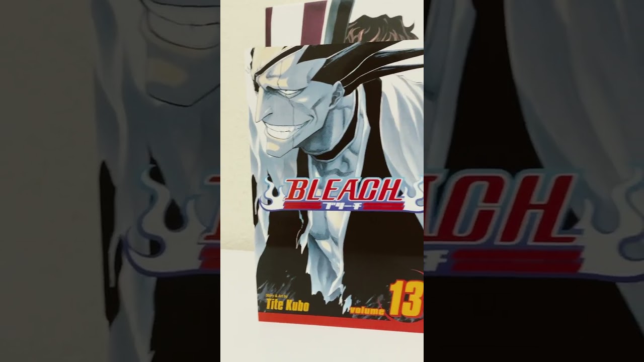 Bleach Box Set 1