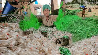 Millions of WASTE plastic bottles skilled worker mass production in new 30 Littre Chemical Can by Creative Ability 15,537 views 2 weeks ago 51 minutes