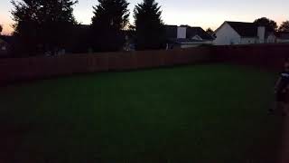 2017 eclipse ground view totality Wealth