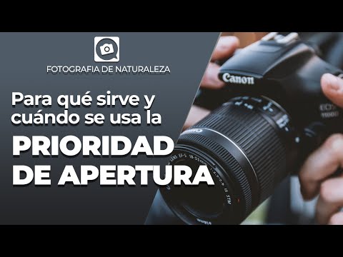 Video: ¿En la prioridad de apertura?