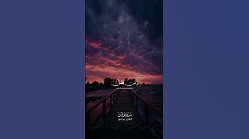من سورة يونس | بصوت القارئ زين بدور