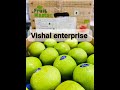 Video Image