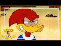 Woody Woodpecker Show | Suriving Woody | 1 Hour Compilation | Cartoons For Children