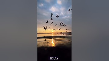 ‏سورة الأعراف من آية 179الى الاية 187￼