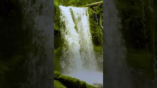 Relaxing Waterfall | ?Home of Relaxing Music & Beautiful Nature shorts relaxing love waterfall