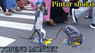 FUNNY MONKEY TOPENG MONYET LUCU RAJIN SHOLAT FULL ATTRACTION