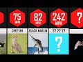 Speed Comparison : Fastest Animals in the World