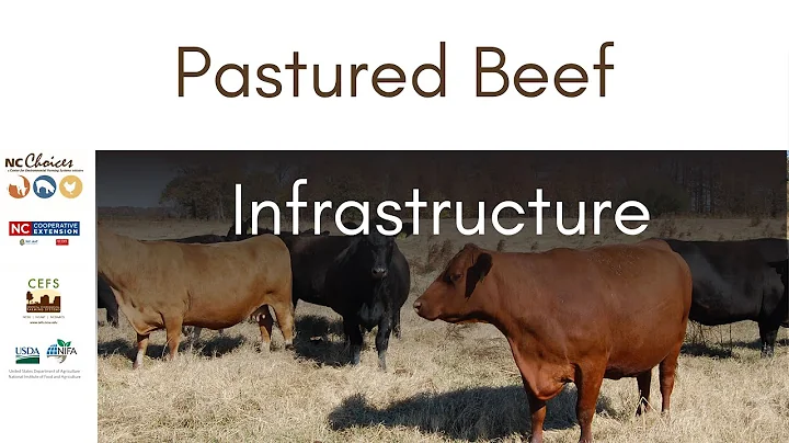 Pastured Beef Production – Infrastructure Teaching Tools for Beginning Farmers