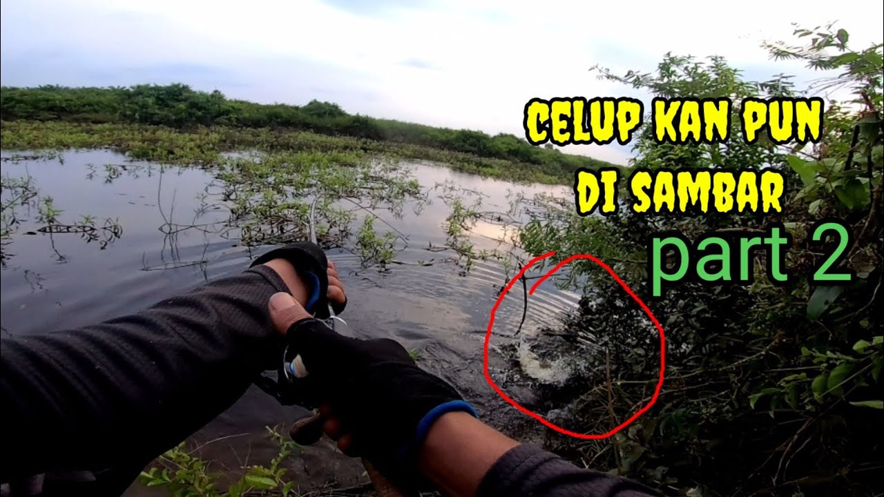 GANAS NYA TOMAN SAMPAI TINGGAL CELUP KAN SAJA LURE NYA DI MAKAN.PART 2