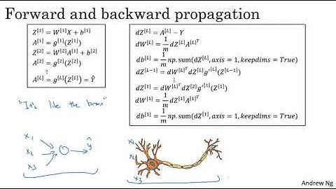 What does this have to do with the brain by Prof. Andrew NG