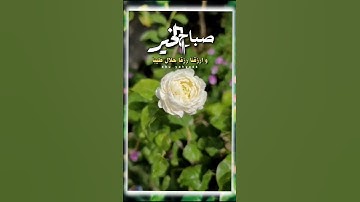 اذكار الصباح #صباح_الخير #دعاء #يارب