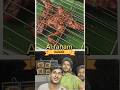ഞങ്ങൾ ഉണ്ടാക്കി💥/#shortsfeed #shorts