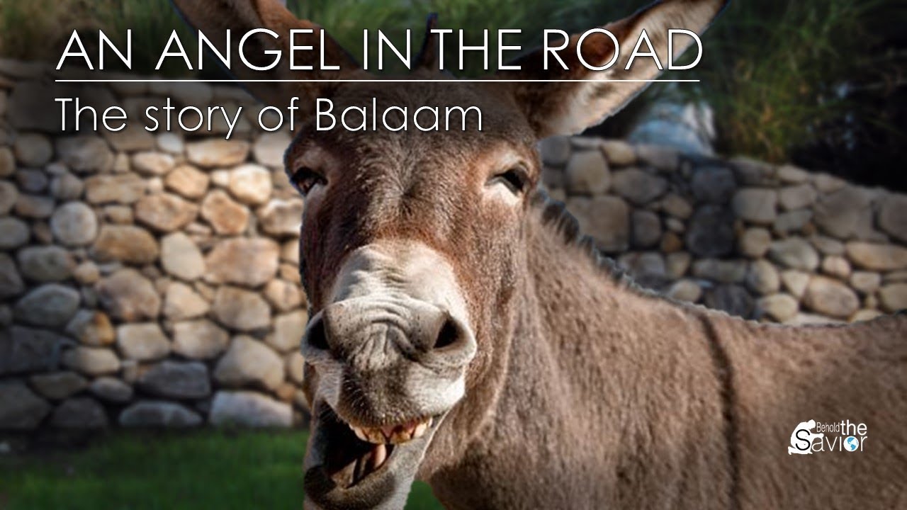 Balaam And The Talking Donkey YouTube balaam-and-the-talking-donkey-youtube