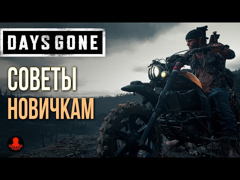 Видео: СОВЕТЫ НОВИЧКАМ Days Gone