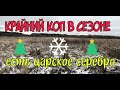 №96 КРАЙНИЙ КОП В СЕЗОНЕ ЕСТЬ ЦАРСКОЕ СЕРЕБРО. ПОИСК МОНЕТ И СТАРИНЫ С ЭКВИНОКС 800.