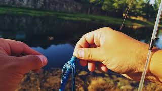 LUNKERHUNT DRAGONFLY REVIEW TACKLE BAG TEAM