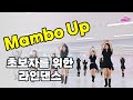 Mambo Up|맘보업|초급|맘보라인댄스