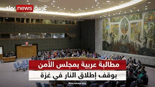 الدول العربية تدعو في مجلس الأمن لوقف فوري لإطلاق النار في قطاع غزة