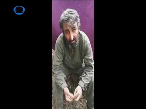 სოსო ოსურაულის საბოლოო მიმართვა ტყვეობიდან