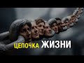 ЦЕПОЧКА ЖИЗНИ Mikhail Clay