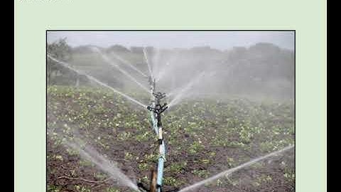 Water decision support system in the WATERAGRI Project – Agricolus