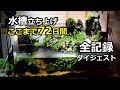 ここまで72日間 水槽立ち上げ ダイジェスト [ Aquarium Cliff layout setup 72 days record ]