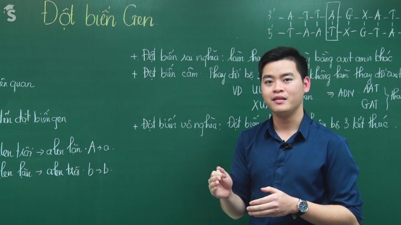 Đột biến gen – Sinh Lớp 12 - Thầy Nguyễn Đức Hải – GV Tuyensinh247.com