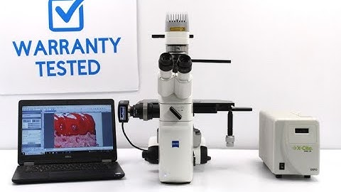 Zeiss Axio Vert.A1 Inverted Fluorescence LED Phase Contrast Microscope [BOSTONIND] -  53473