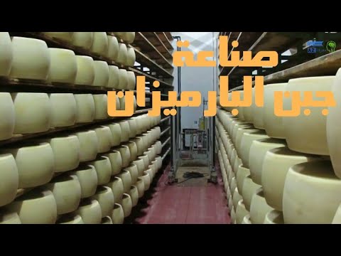 فيديو: كيفية صنع جبن البارميزان