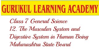 Class 7 GENERAL SCIENCE 12. The Muscular System and Digestive System in Human Beings - MSB