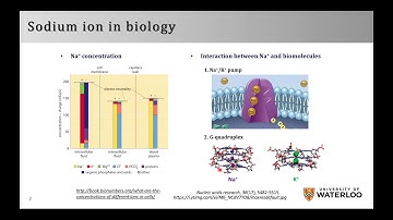 In vitro selection and characterization of a sodium-dependent DNAzyme |  Lingzi Ma