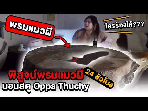 วีดีโอ: 10 เหตุผลทำไมคุณต้องเพิ่มเติมคิตตี้ปุยในชีวิตของคุณ