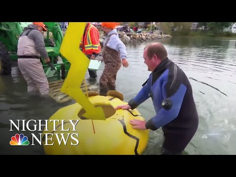 Maine Pumpkinfest Holds Annual Pumpkin-Boat Regatta | NBC Nightly News