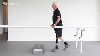 Celebrity Functional Training Exercise - Step ups Wealth