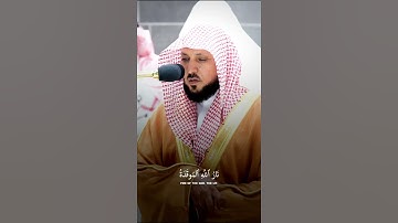 سورة الهمزة الشيخ ماهر المعيقلي