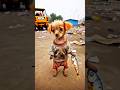 ЁЯШнЁЯдпBhukh Ka Dard Ek Chhoti Doggy Ki Kahani Heart Touching AI Animation Ai ЁЯШнЁЯдпBhukh Ka Dard Ek Chhoti Doggy Ki Kahani Heart Touching AI Animation Ai