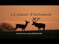 Le chant d'automne.  Les cervidés en forêt de Tronçais, le brame du cerf, affût au cerf et biches