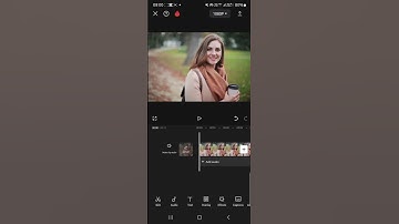 how to remove a background of a  picture in capcut