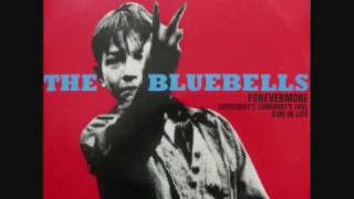 Miniatura de vídeo de "The Bluebells - Forevermore (1982) (Audio)"