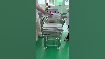 single platform checkweigher weight system for box