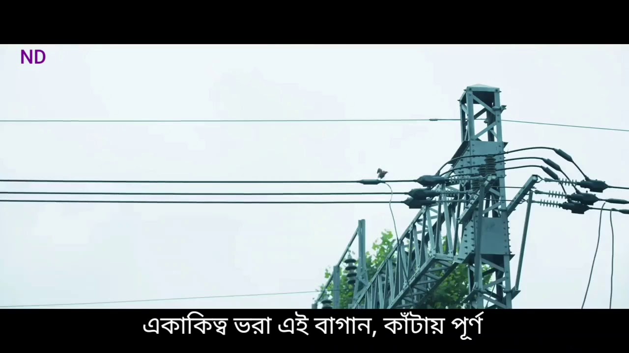 BTS The Truth Untold ft. Steve Aoki [FMV] with Bangla subtitles